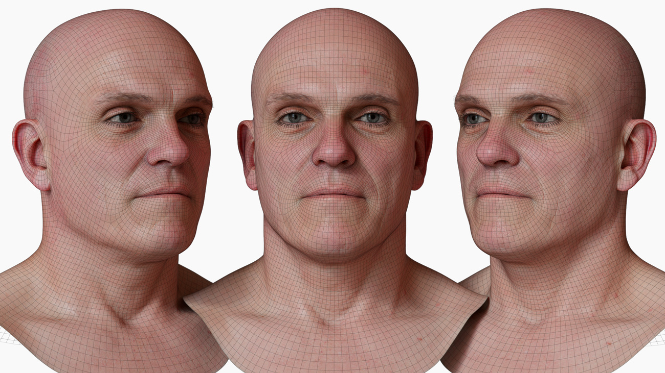 head model wireframe mesh